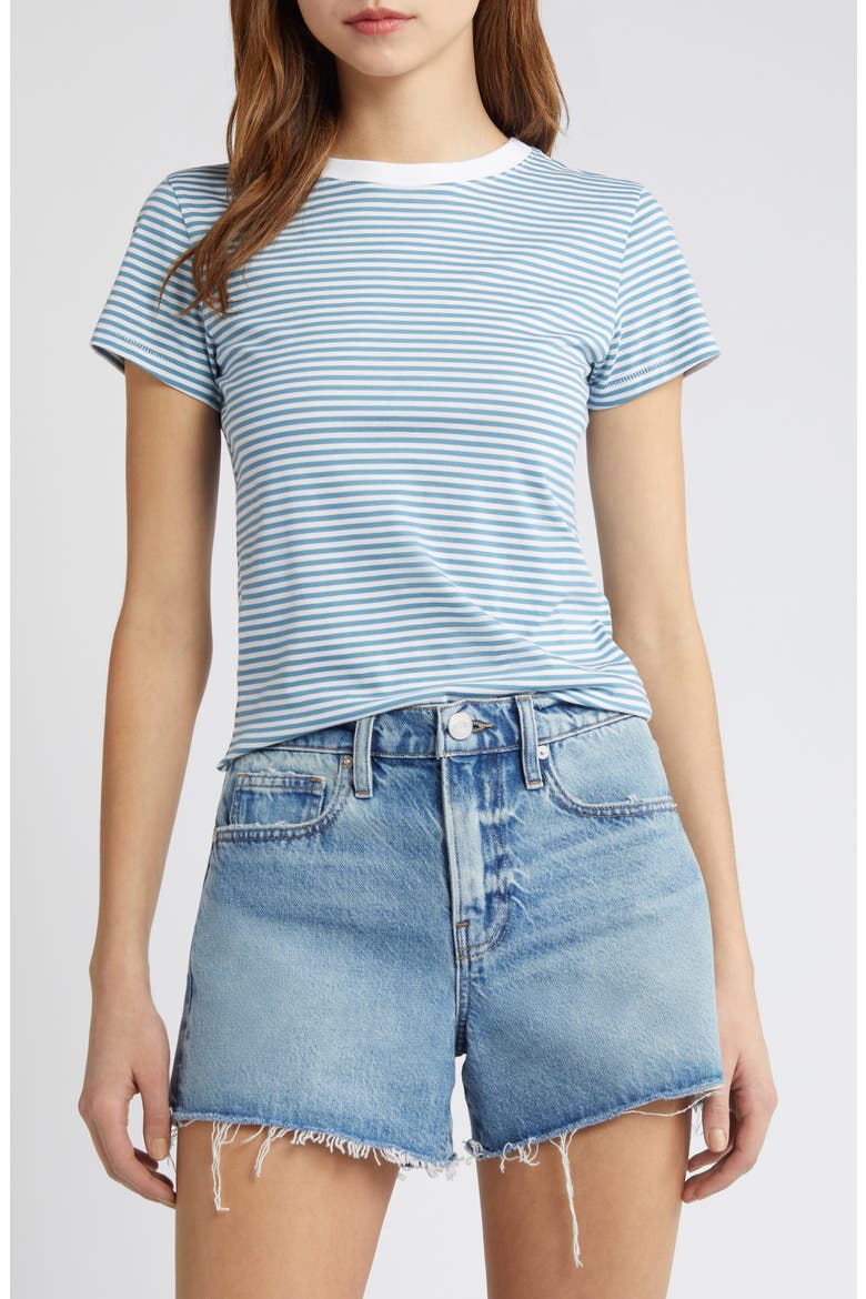 Stripe Fitted T-Shirt, Main, color, SKY BLUE MULTI