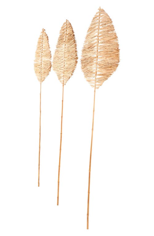 Sonoma Sage Home 3-piece Natural Dried Bamboo Leaf Foliage In Light Brown