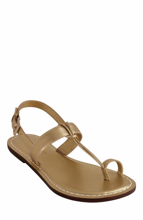 Shop Bernardo Footwear Maverick 2 Toe Ring Sandal In Gold