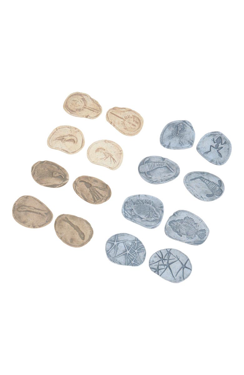 Kaplan Early Learning Company Magnetic Matching Aquatic Life Fossil Stones - Set of 8, Alternate, color, Gray