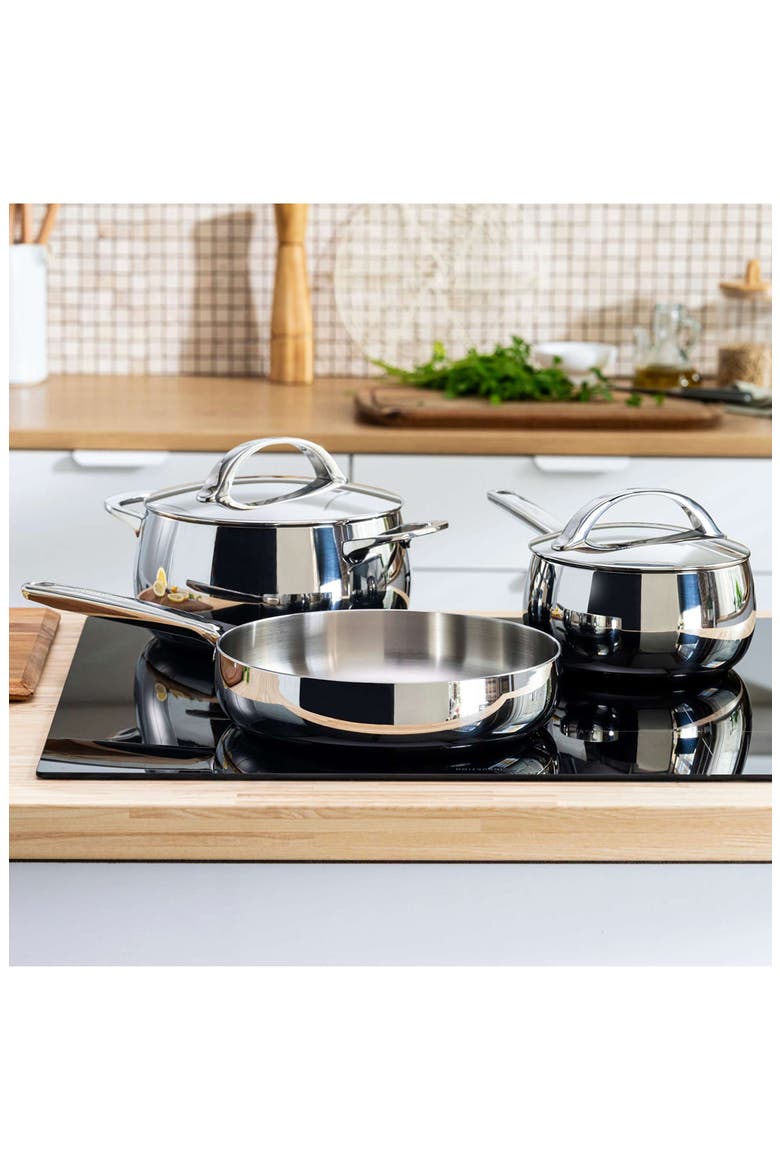 Stellar Belly Tri-Ply Stainless Steel Saucepan & Lid, Alternate, color, STELLAR