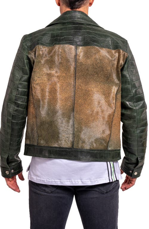 Maceoo Ascension0026 Genuine Calf Hair & Croc Print Leather Jacket In Green