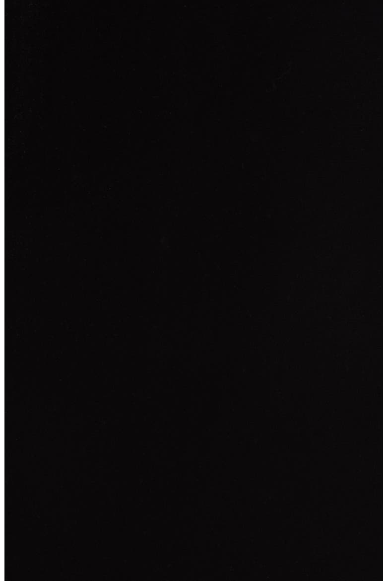 Balloon Sleeve Velvet Dress, Alternate, color, BLACK