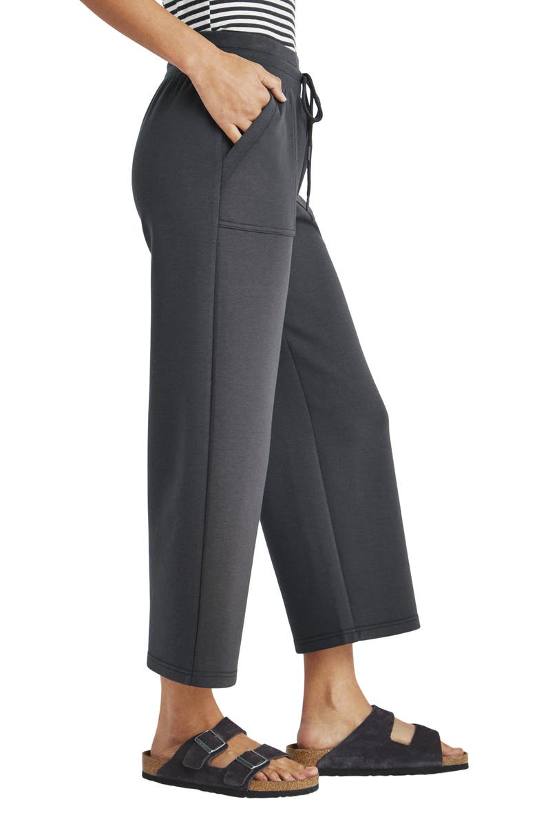 Splendid Caprice Wide Leg Sweatpants, Alternate, color, 