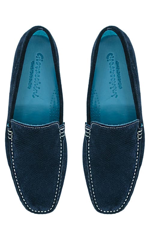 Belvedere Diego Perforated Driver In Blue