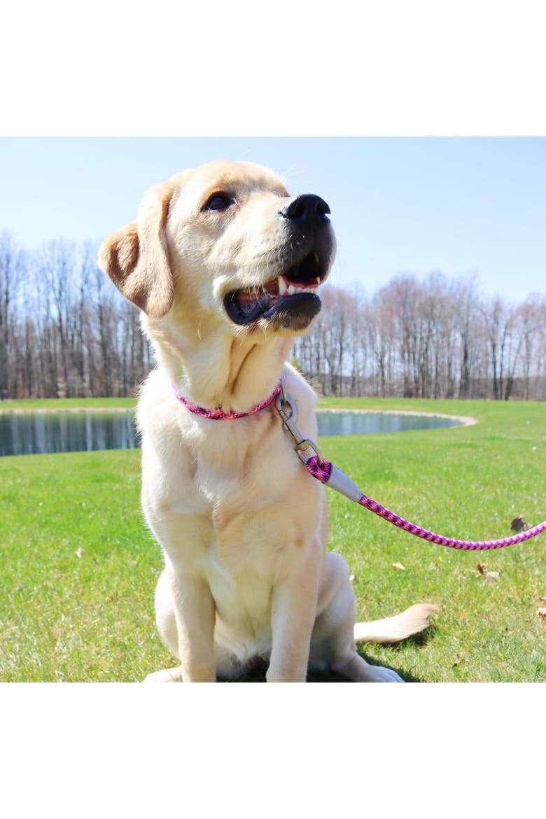 Active Woven Reflective Dog Collar, Crossed, Small, 5/8 Inch, Alternate, color, Multicolored