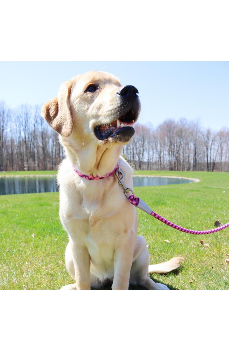 Pro Active Woven Reflective Dog Collar, Crossed, Small, 5/8 Inch, Alternate, color, Multicolored