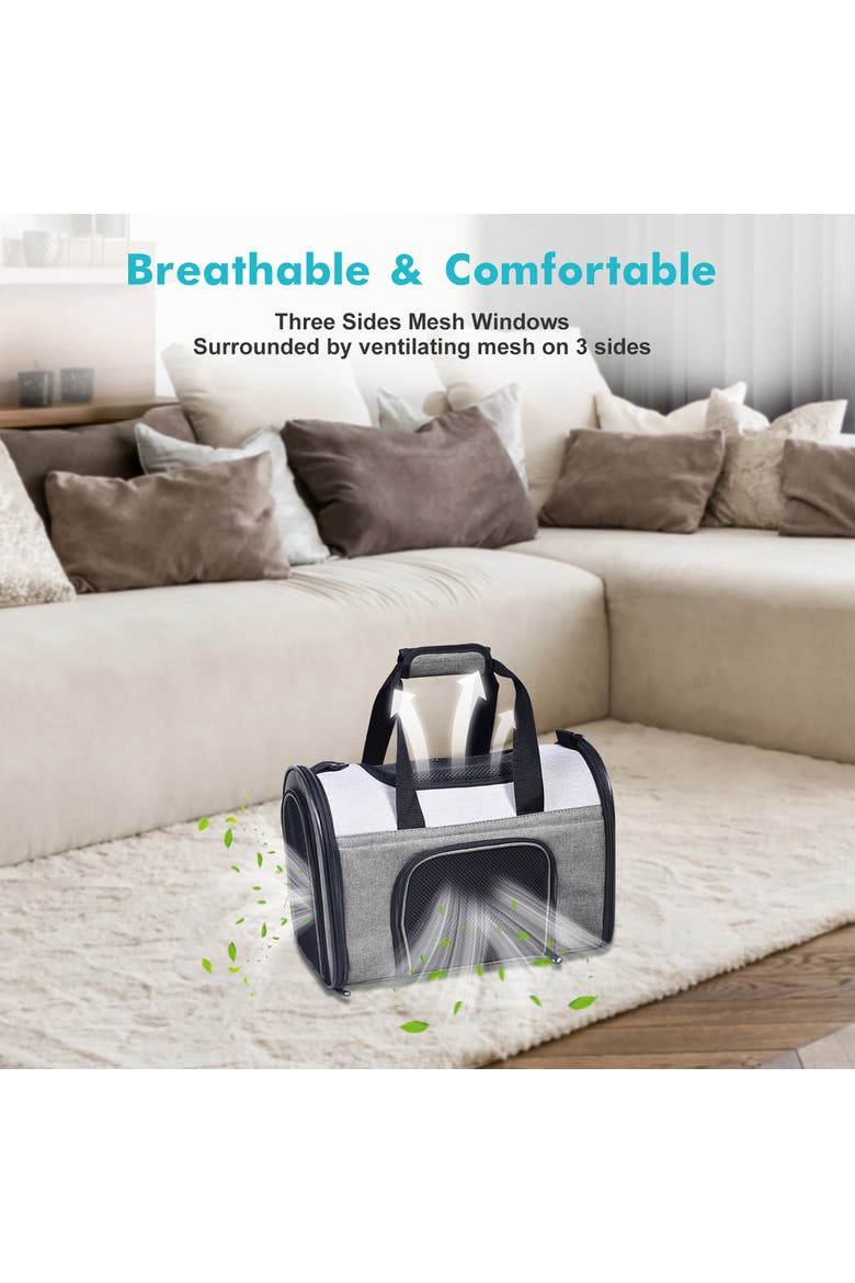 Sport Airline Pet Carrier 16", Alternate, color, Multicolored