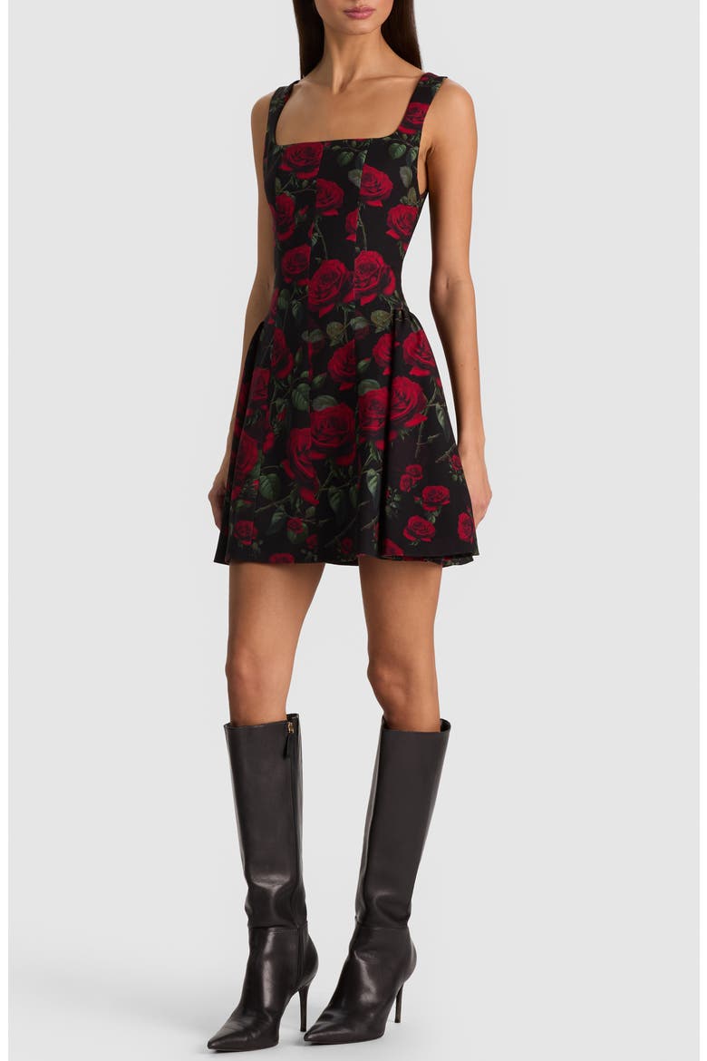 Vera Dropped Waist Minidress, Alternate, color, ROUGE ROMANCE BLACK