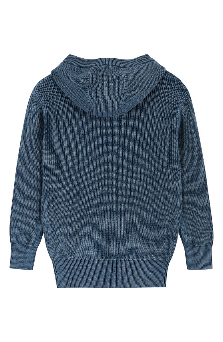 Andy & Evan Kids' x Teenage Mutant Ninja Turtles<sup>®</sup> Appliqué Cotton Sweater Hoodie, Alternate, color, 