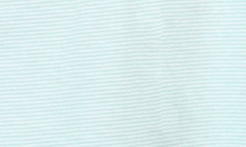 Tailorbyrd Supersoft Stripe Yarn Dye Polo In Spearmint