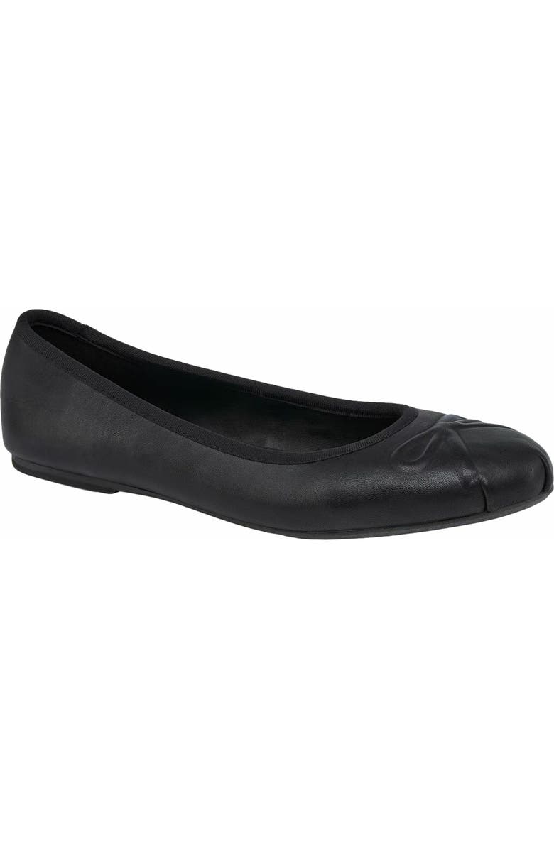 Grace Footwear Reggio Ballerina, Main, color, Black