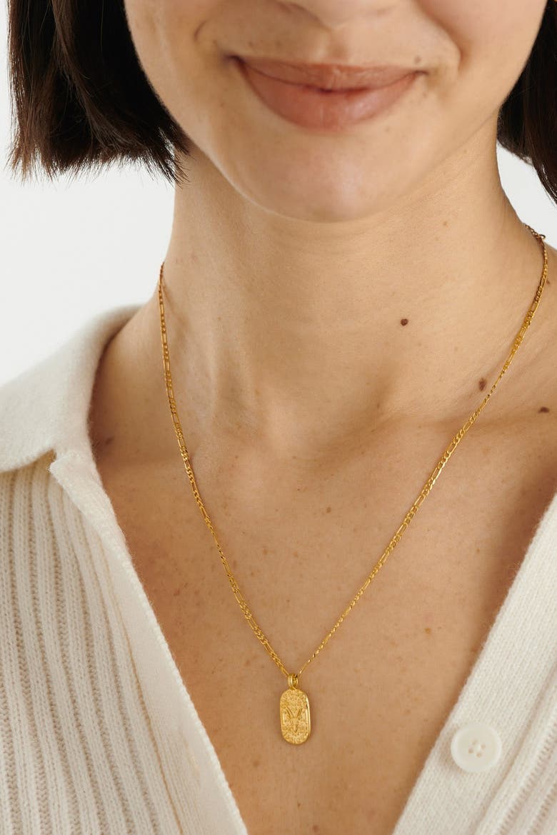 'Capricorn' Waterproof Gold Zodiac Necklace, Alternate, color, GOLD