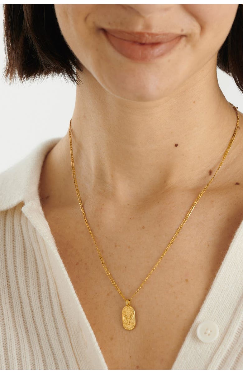 Katie Loxton 'Capricorn' Waterproof Gold Zodiac Necklace, Alternate, color, Gold