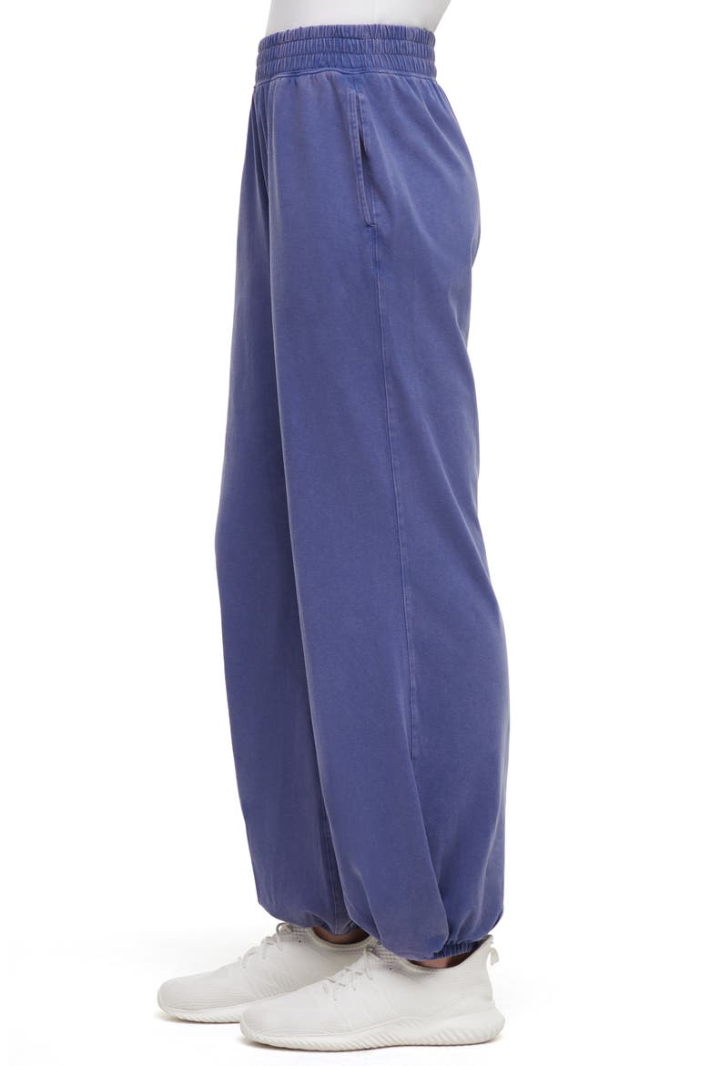 Aleyna Knit Sweatpants, Alternate, color, GRAY BLUE