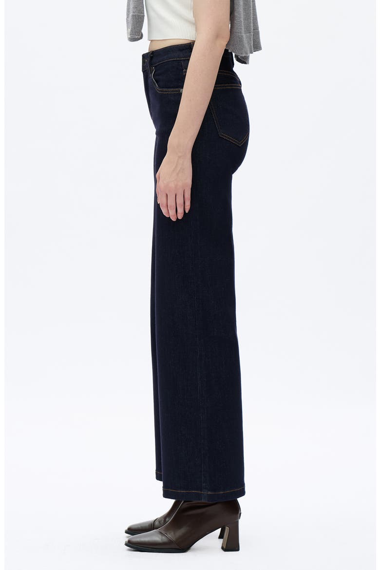 Cloe High Waist Wide Leg Jeans, Alternate, color, RAW DENIM