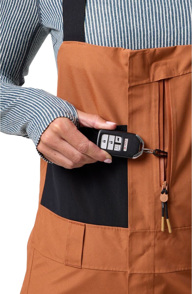 Backcountry Cottonwoods Gore-Tex Shell Bib Pant - Women's, Alternate, color, Sierra