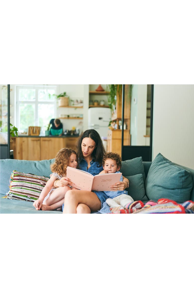 CALIS BOOKS 'The Three Little Pigs' Recordable Book, Alternate, color, 