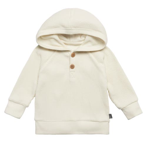 Modern Moments™ By Gerber Hoodie & Pant Set In Ivory
