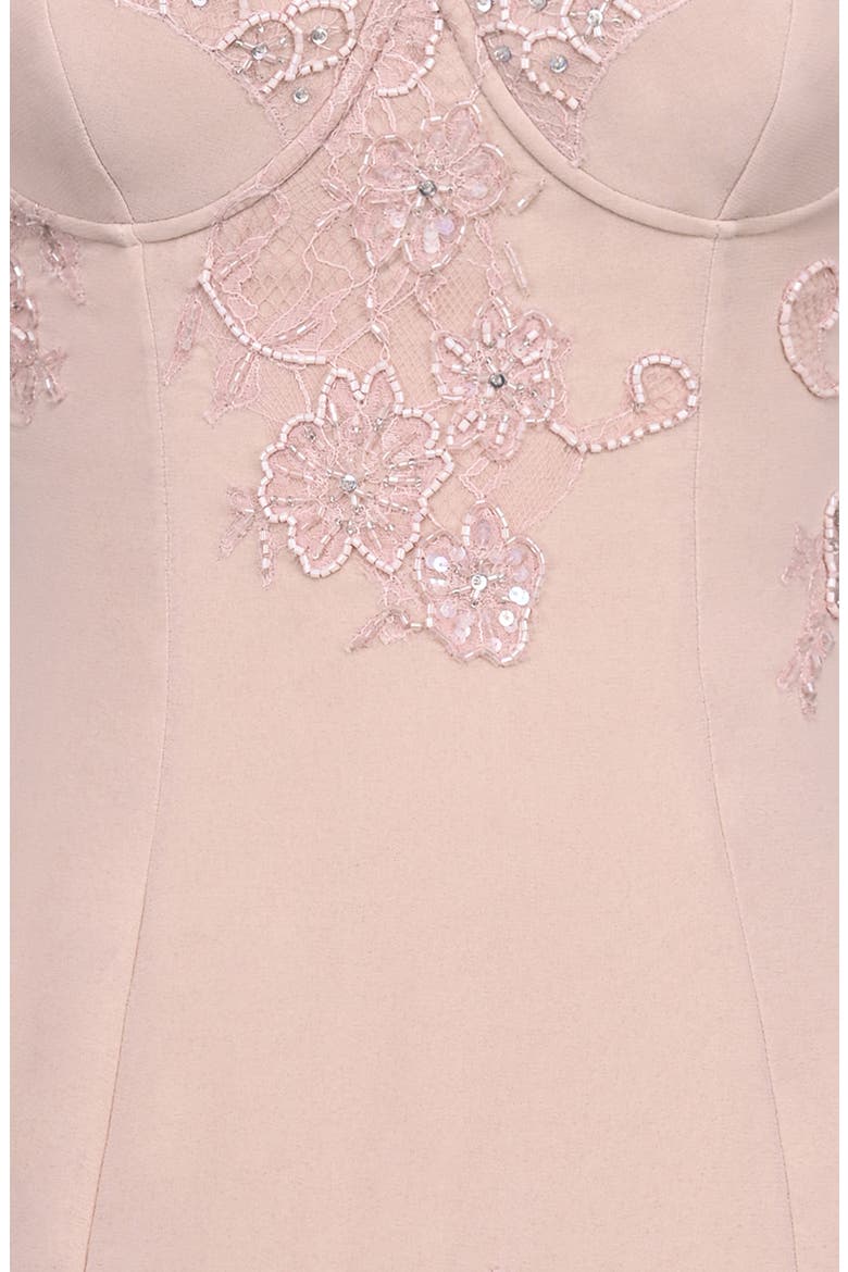 Soraya Embellished Lace Georgette Minidress, Alternate, color, BLUSH