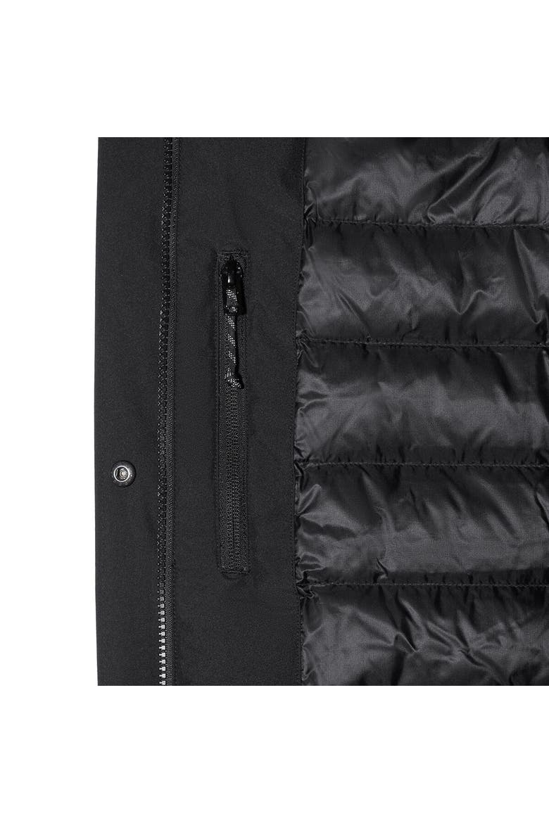 Treeline Hs Thermo Hooded Parka - Women's, Alternate, color, Black