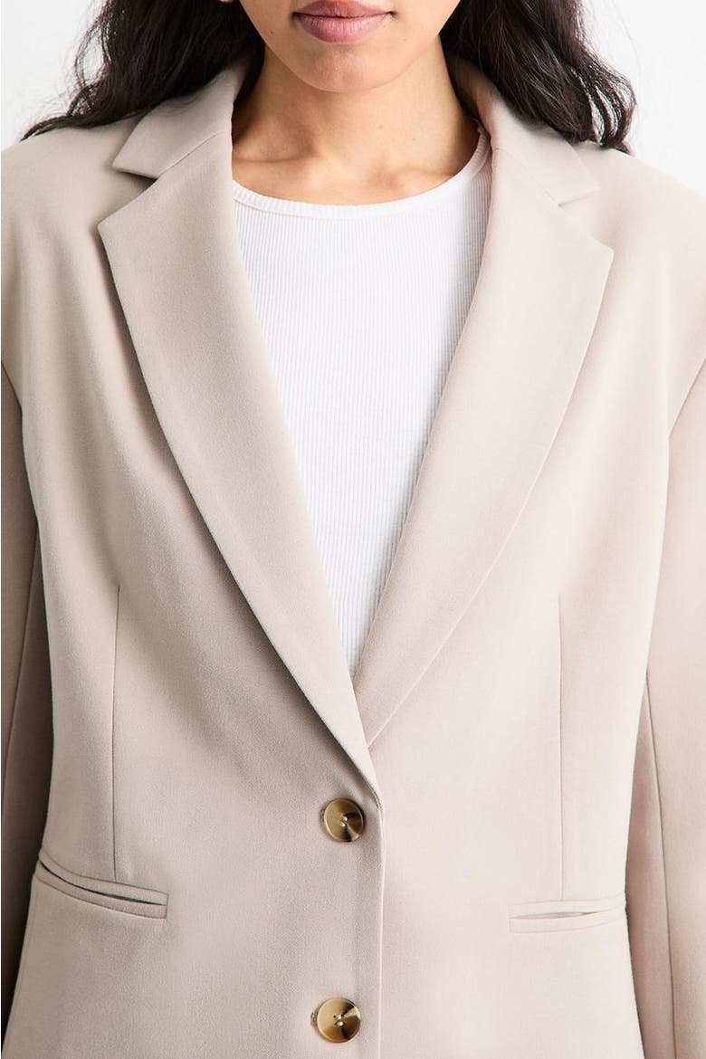 Oversized Single Breasted Blazer, Alternate, color, Stone