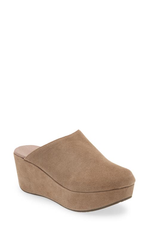Chocolat Blu Yoma Platform Clog in Taupe Suede 