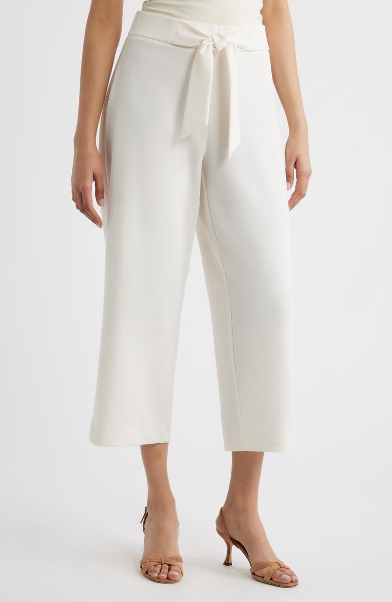 AK ANNE KLEIN Tie Front Pull-On Wide Leg Crop Pants, Main, color,