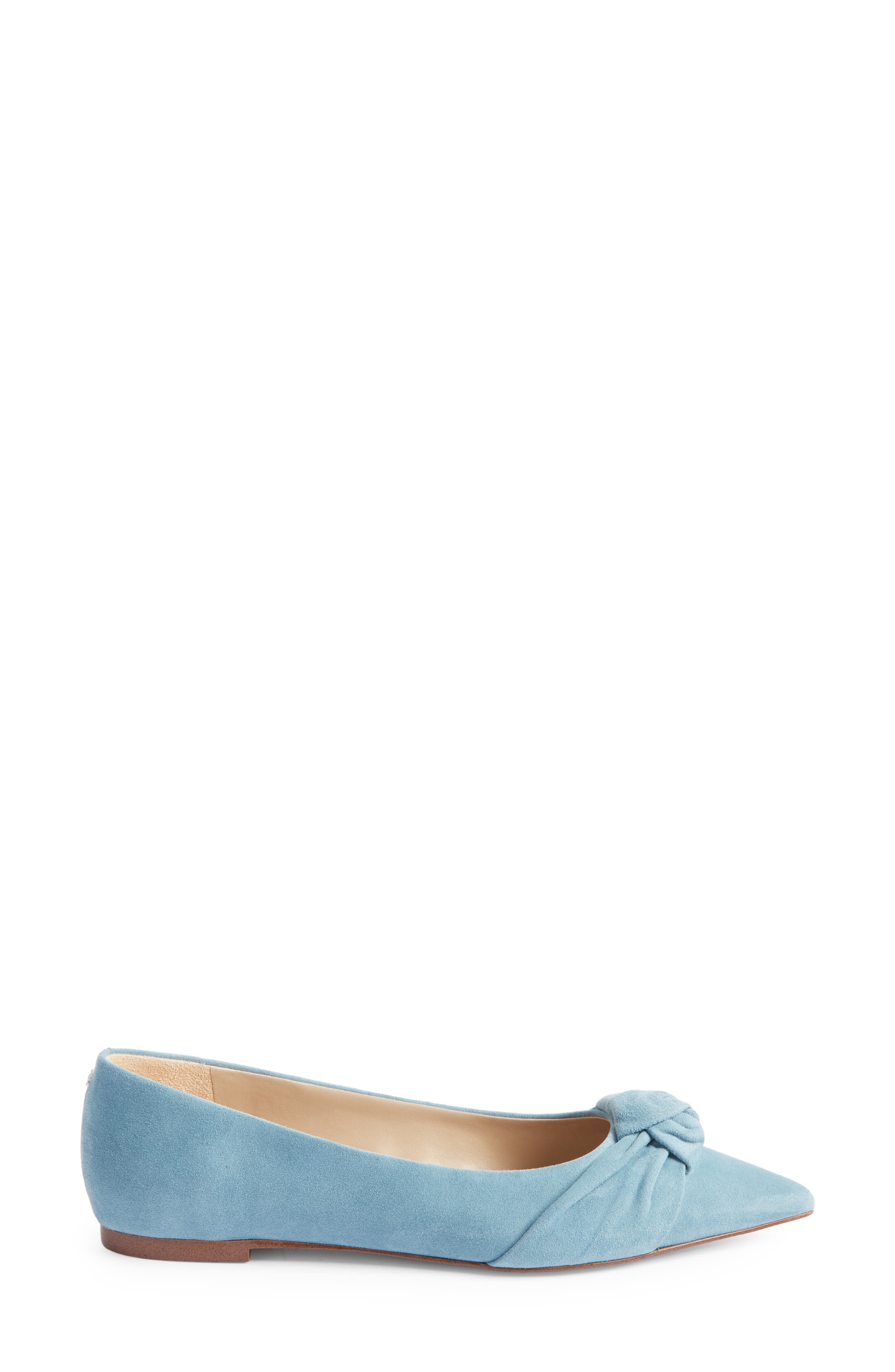 Wheaton Pointed Toe Flat, Alternate, color, ASPEN SKY