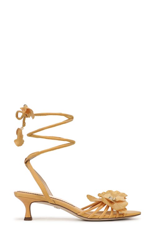 SAM EDELMAN SAM EDELMAN CARLA ANKLE WRAP SANDAL