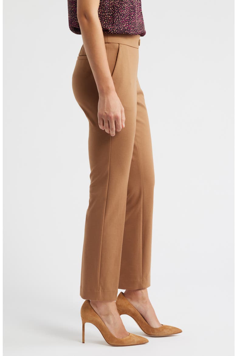 Faux Fly Straight Leg Pants, Alternate, color, VICUNA