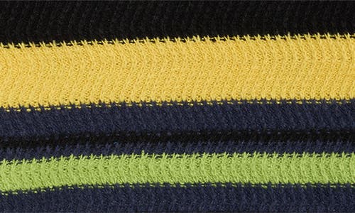 Pleasures Cooper Stripe Long Sleeve Polo Sweater In Multi