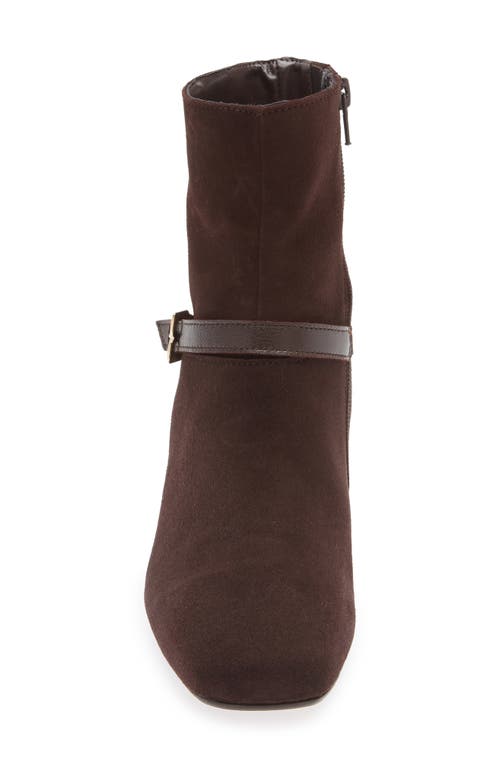 Bruno Magli Danica Square Toe Bootie In Brown