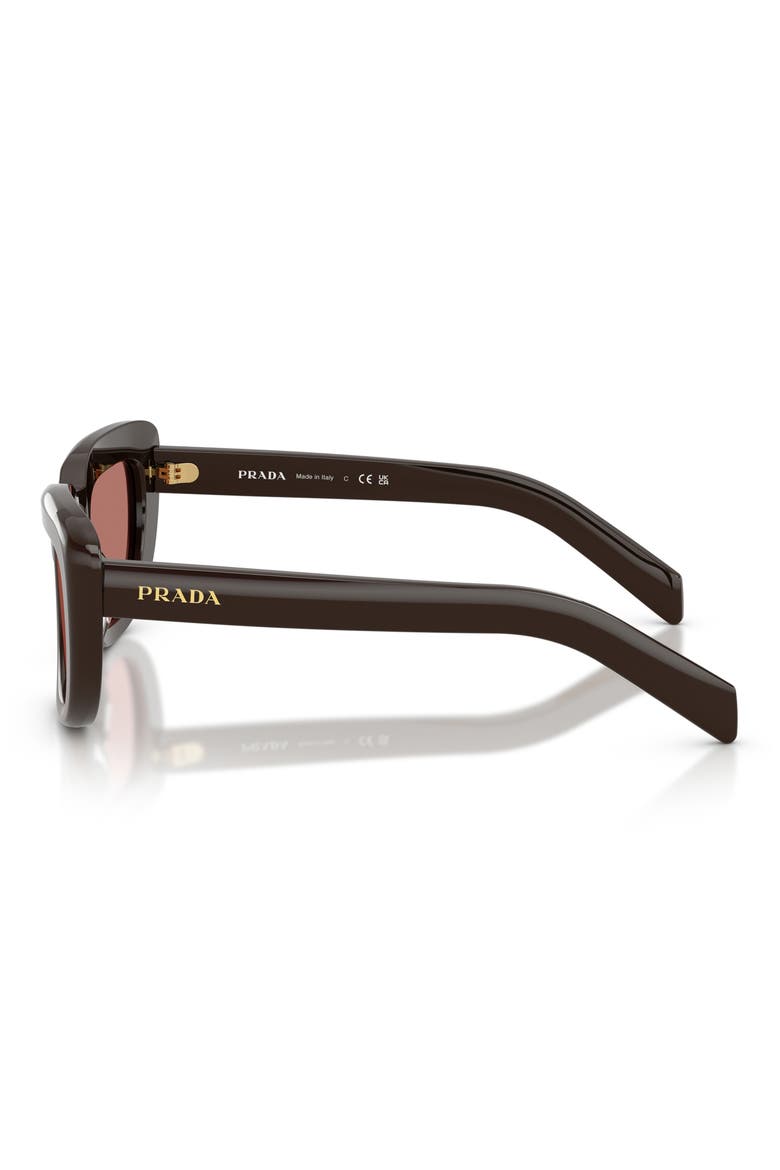 53mm Rectangular Sunglasses, Alternate, color, CIGAR / BORDEAUX