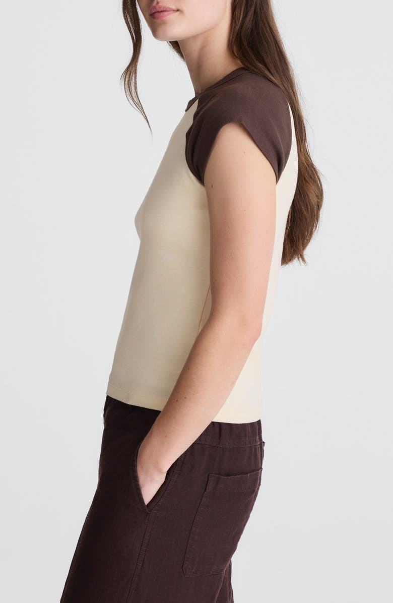 Madewell '90s Crewneck Raglan T-Shirt, Alternate, color, Colorblock