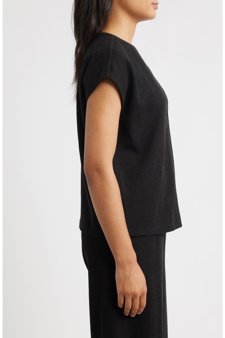V-Neck Organic Cotton Crewneck T-Shirt, Alternate, color, BLACK