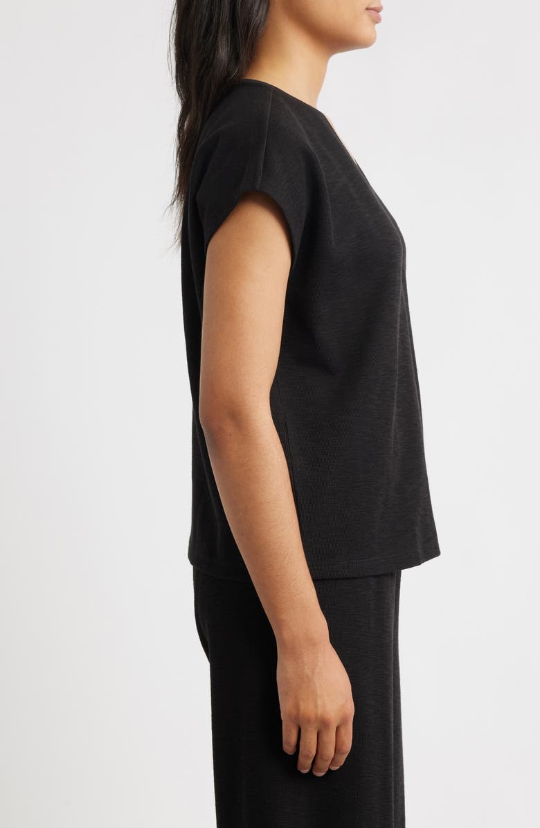 Eileen Fisher V-Neck Organic Cotton Crewneck T-Shirt, Alternate, color, Black