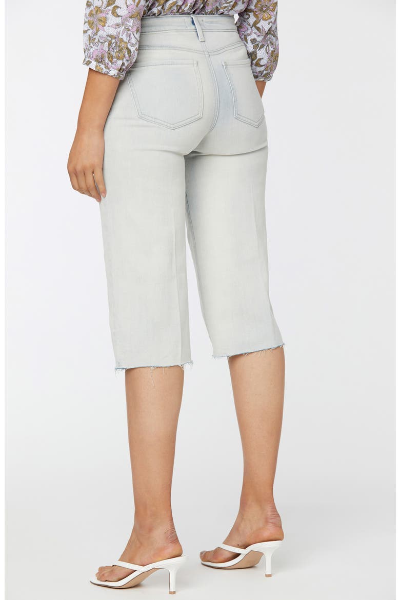 Wide Leg Raw Hem Pedal Pusher Jeans, Alternate, color, EQUINOX