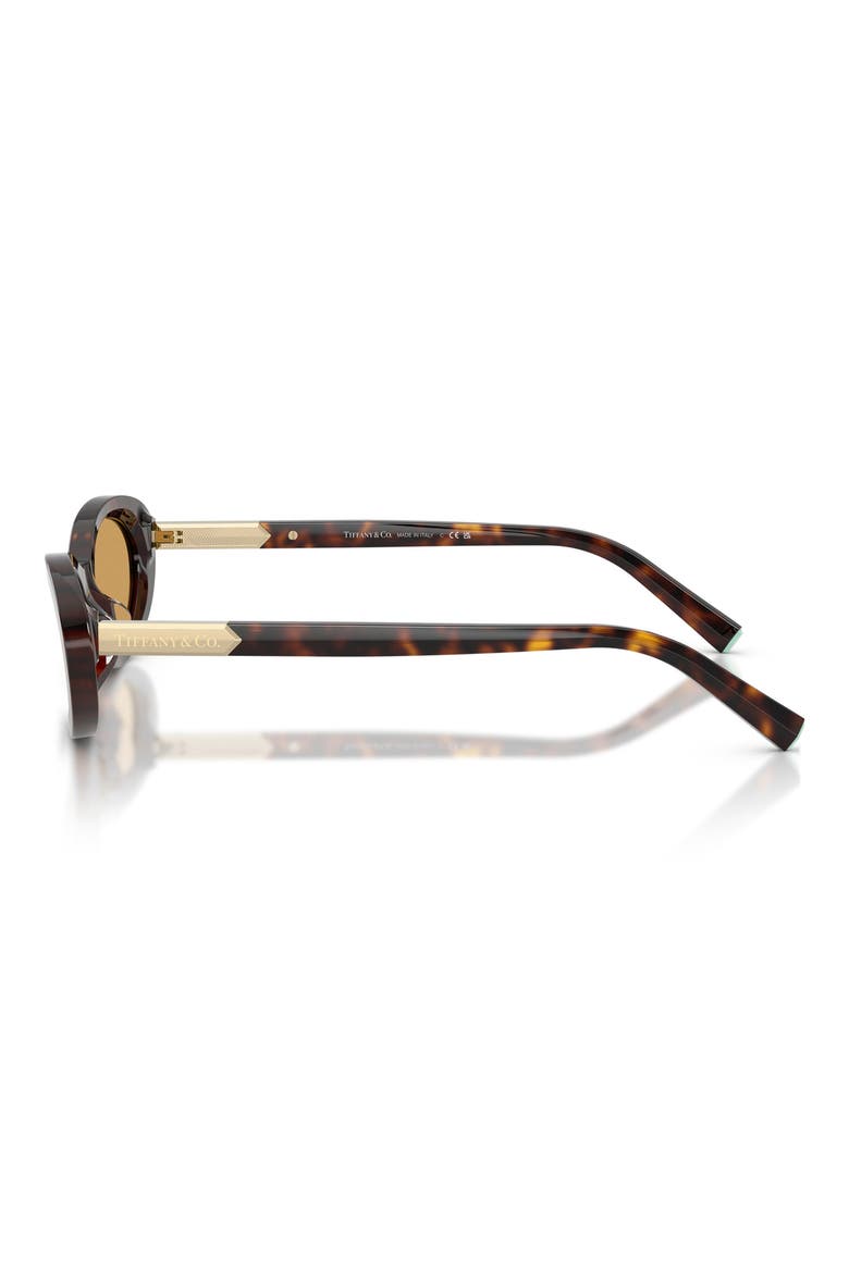 56mm Oval Sunglasses, Alternate, color, HAVANA / ORANGE MIRROR SILVER