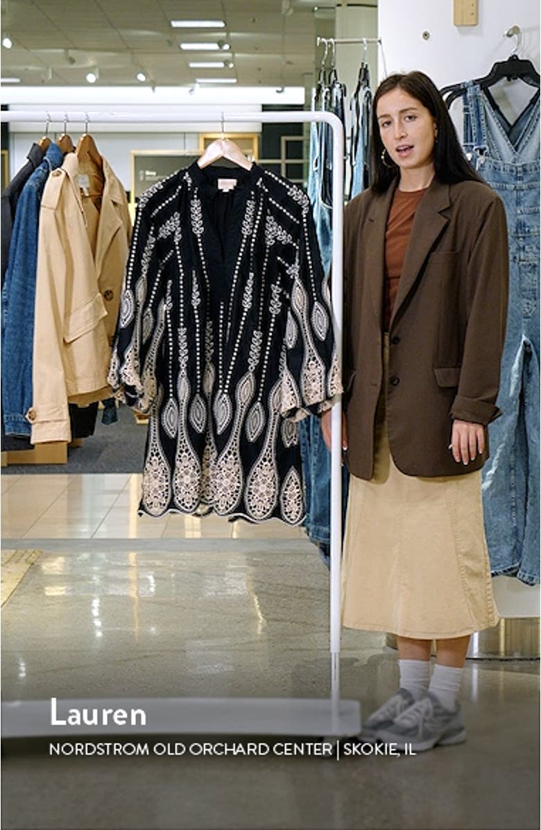 Dianna Embroidered Long Sleeve Cotton Shift Dress, sales video thumbnail