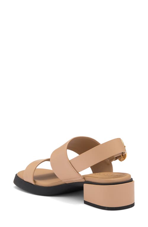 AEROSOLES AEROSOLES DOVE PLATFORM SANDAL 