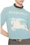 selected Eggshell Blue