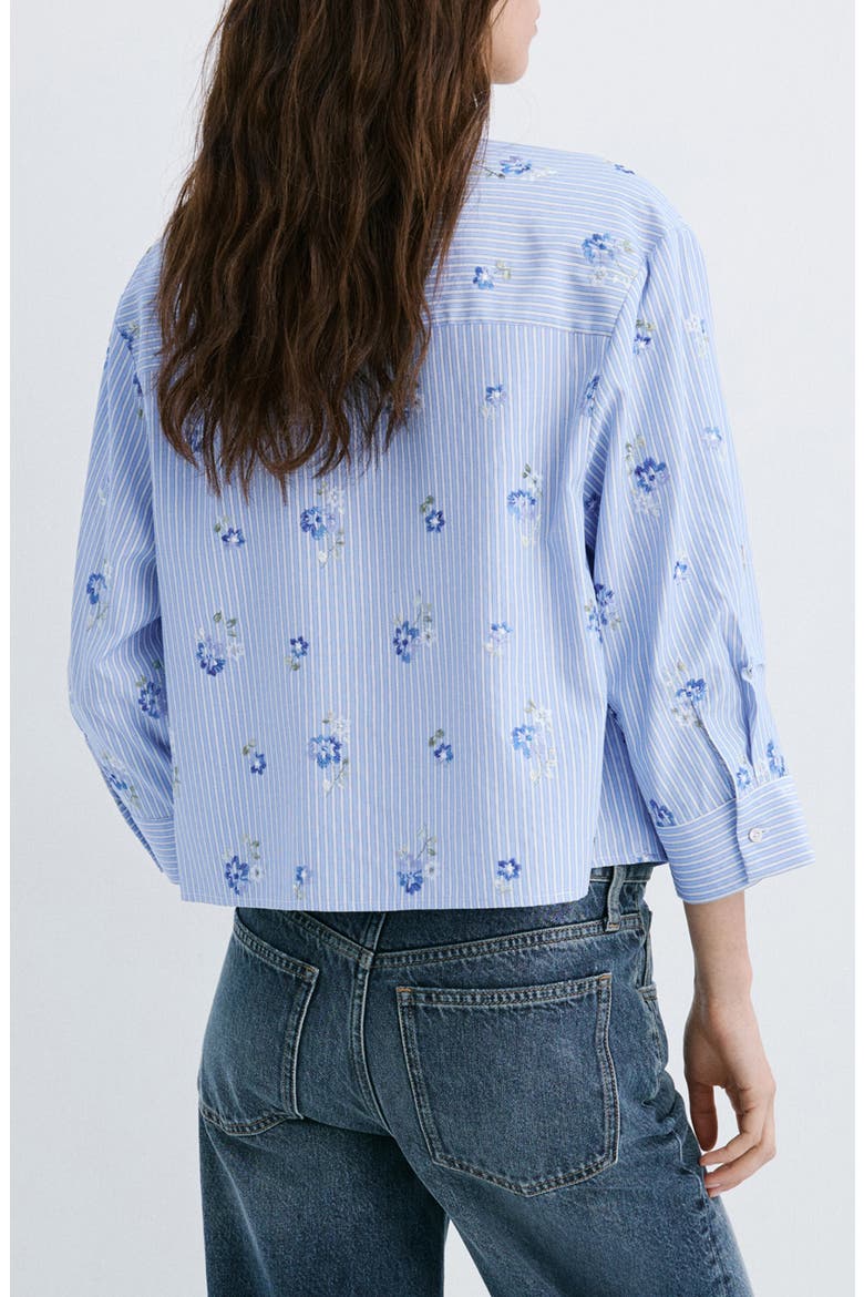 Embroidered Stripe Button-Up Shirt, Alternate, color, SKY BLUE