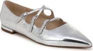 Sam Edelman Cass Pointed Toe Flat