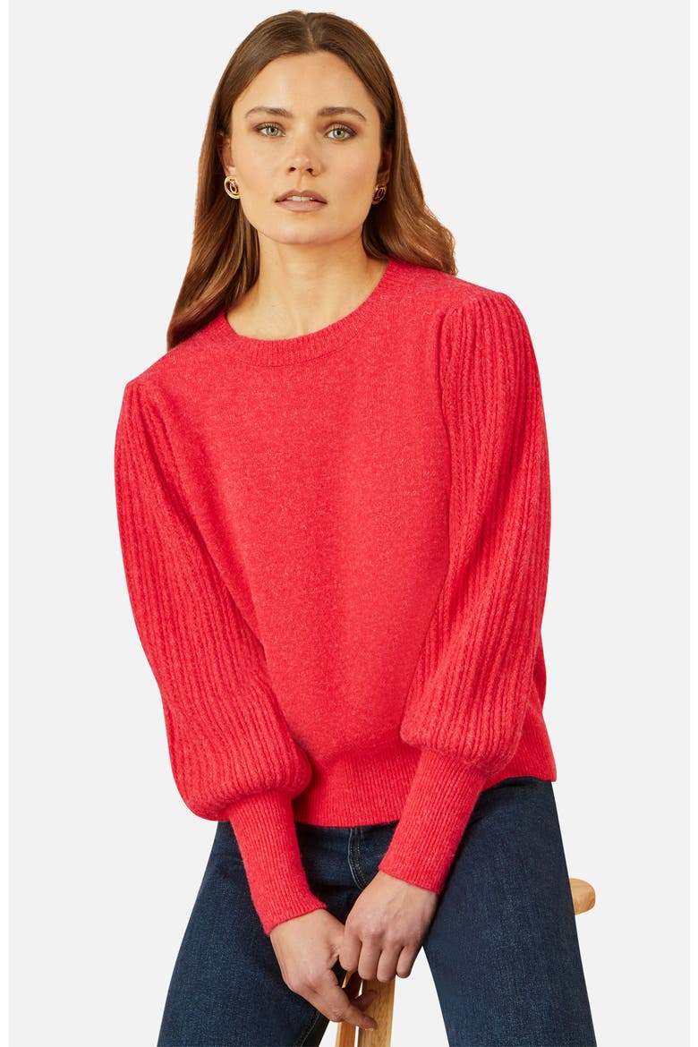 Knitted Balloon Sleeve Textured Jumper, Alternate, color, Red