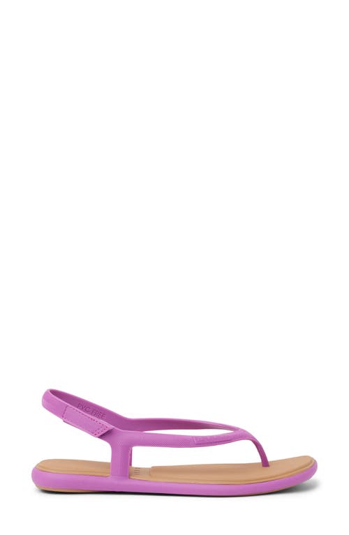 Reef Water Willow Maya Slingback Sandal In Pink
