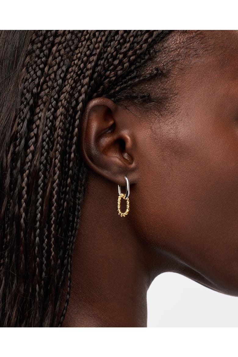 Drop Earrings - Ash Double Mini Two Tone, Alternate, color, Two Tone