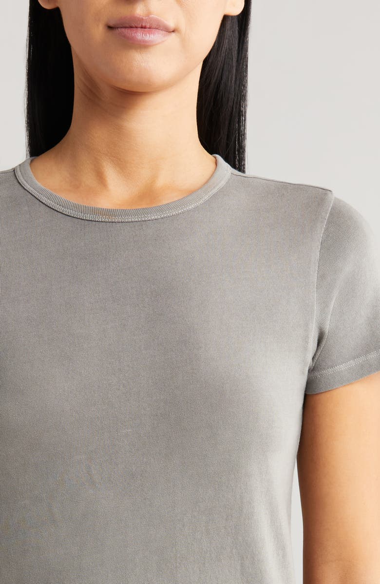 Brixton Carefree Organic Cotton T-Shirt, Alternate, color,