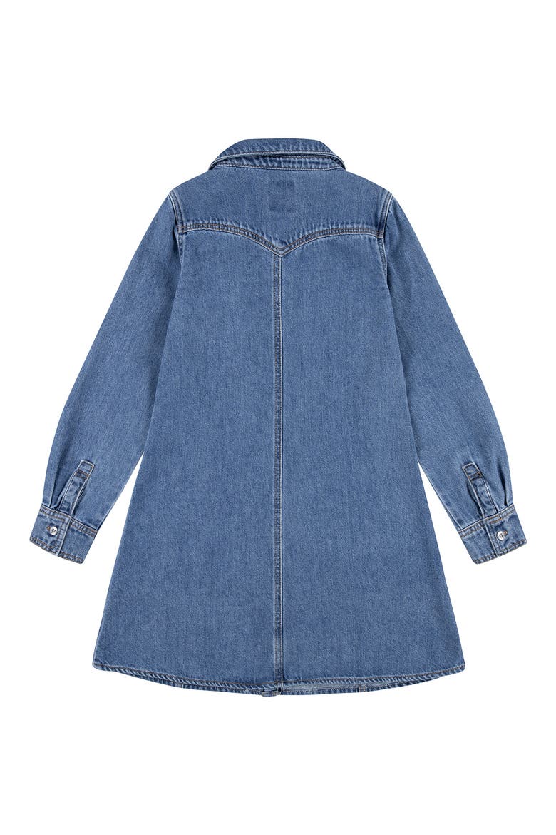 Long Sleeve Denim Shirtdress, Alternate, color, DREW ME IN