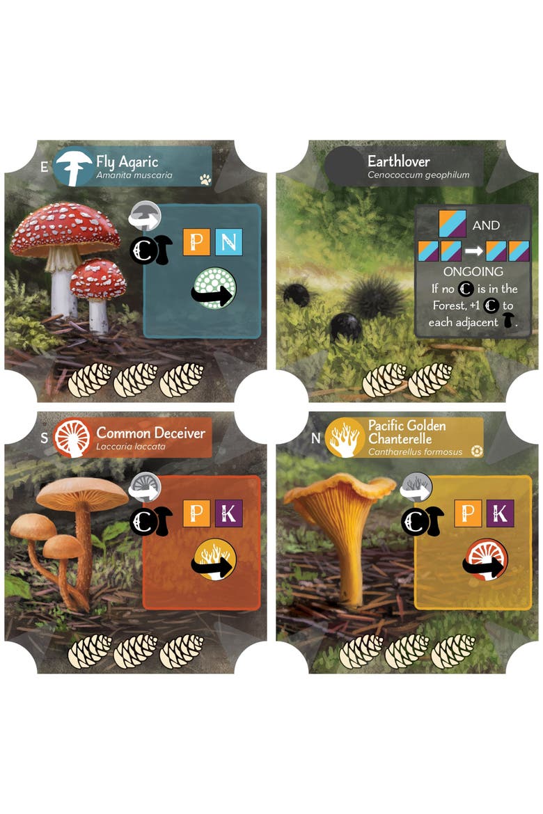 Undergrove  Strategy Board Game, Alternate, color, Multicolored